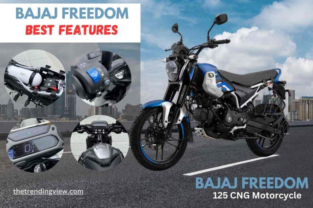 Bajaj Freedom 125 CNG: Components and features
