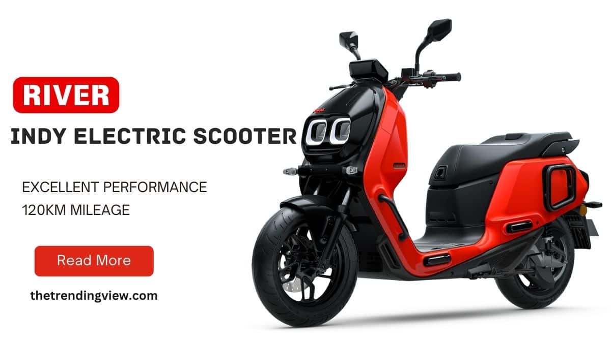 River Indy Electric Scooter